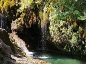 Bejis, Fuente Cloticos